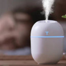 Kit 2 Umidificadores Portáteis de Grande Capacidade