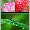 Lente para Celular com Clipe 2 em 1